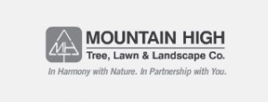 mountain-high-tree-lawn-landscape-co